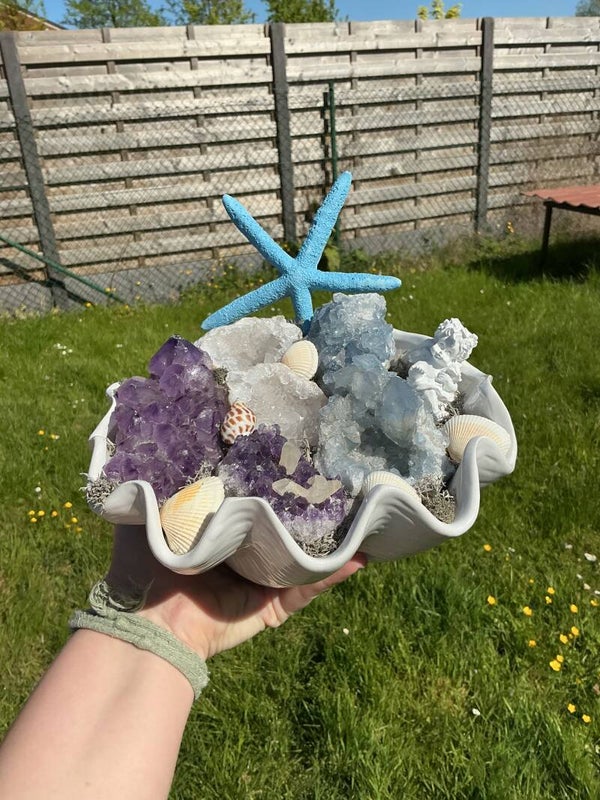 🌊 Venusschelp met kristallen – rust, intuïtie & hemelse verbinding ✨