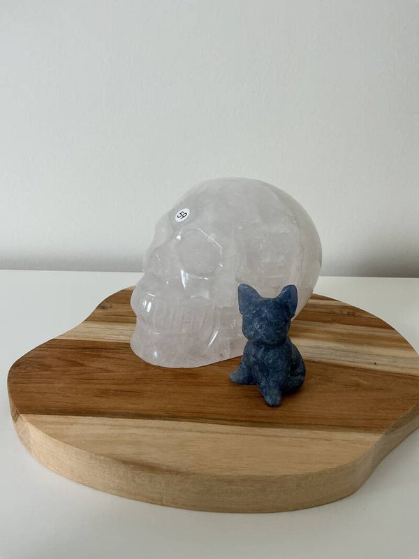 Skull en bullie