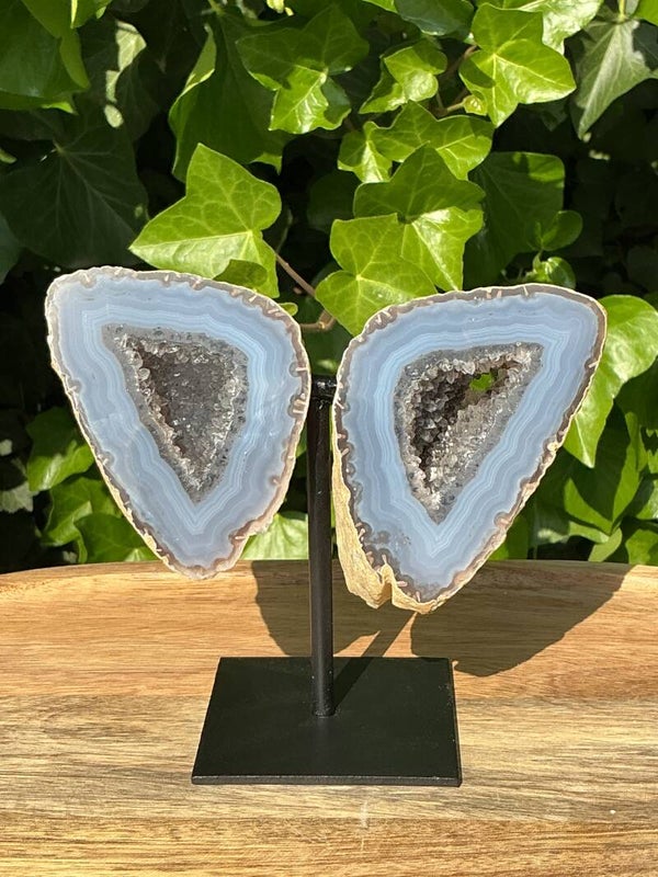 🦋✨ Agaat Geode – Vlinders