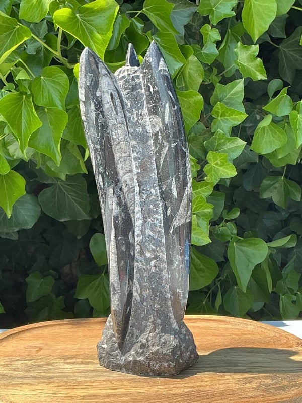 Orthoceras sculptuur