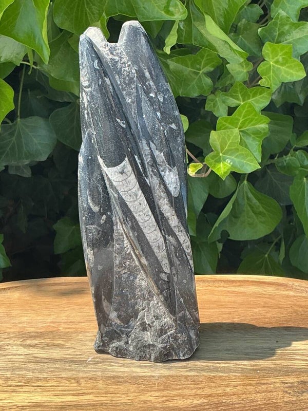 Orthoceras sculptuur