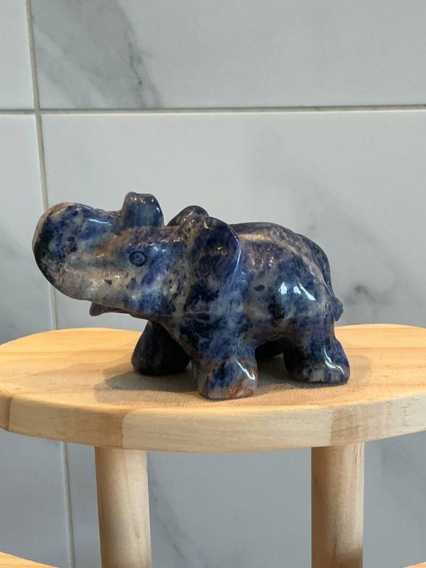💙🐘✨ Sodaliet – Olifant Carving