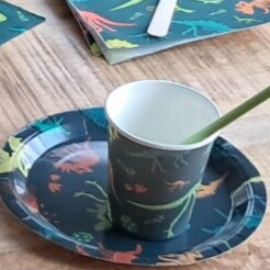 Uitbreiding serviesset 2 kinderen Dino's