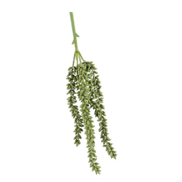 Erwten plantje Groen - 35 cm