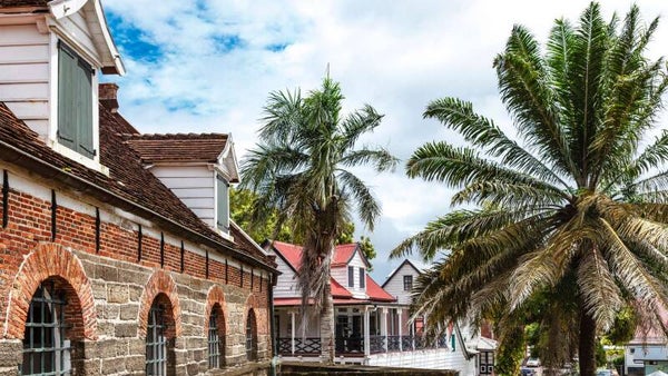 Paramaribo City Guide