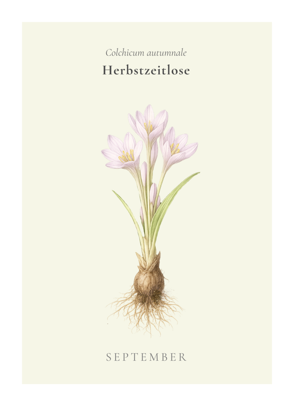 Herbarium poeticum - Monats