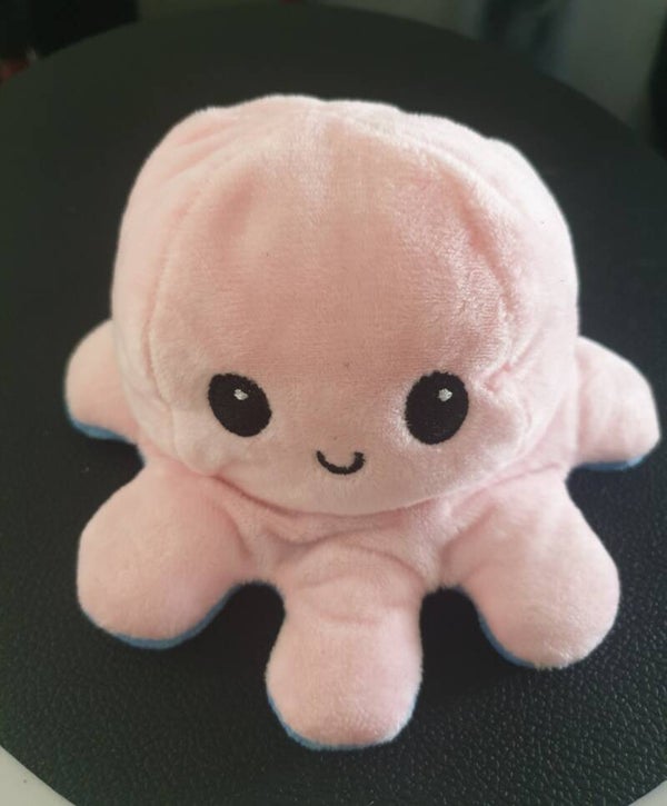 Peluche réversible rose et bleue