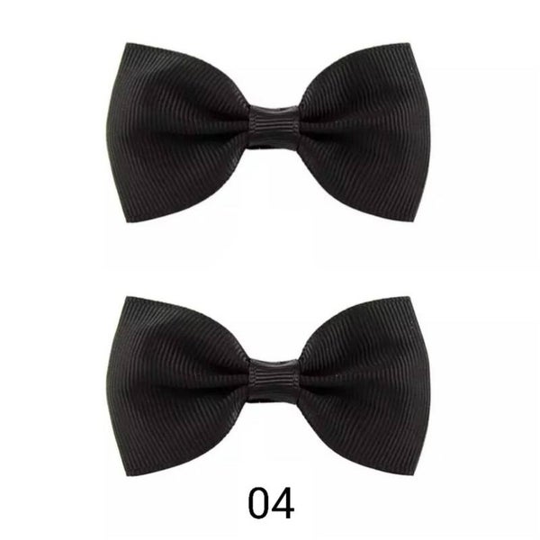 Lot de 2 barettes 04