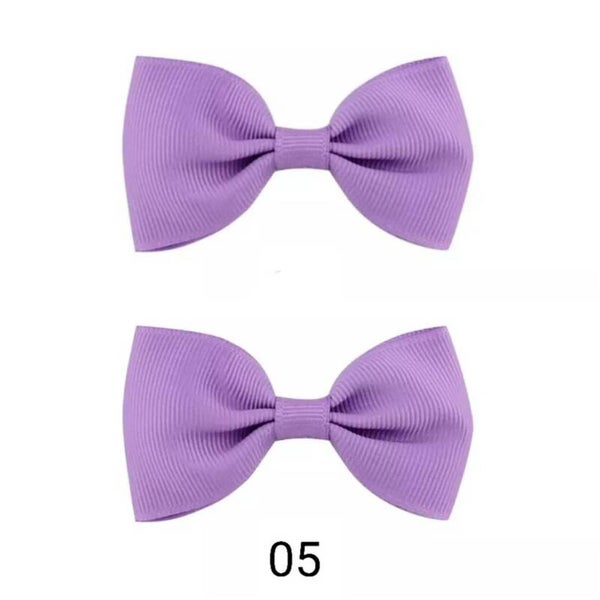 Lot de 2 barettes 05