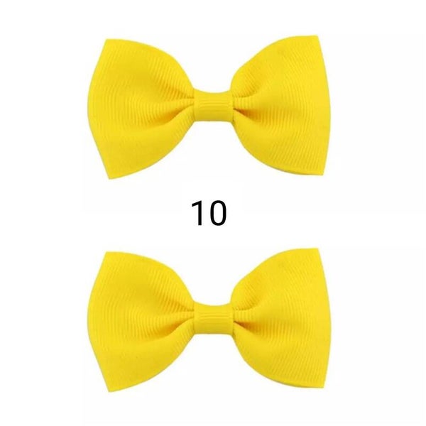 Lot de 2 barettes 10