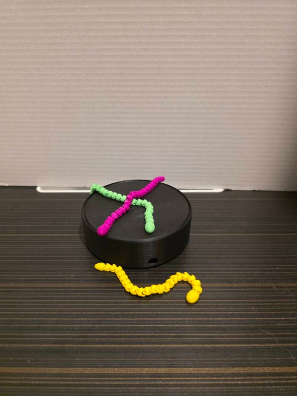 2 for $5 Snake Fidgets