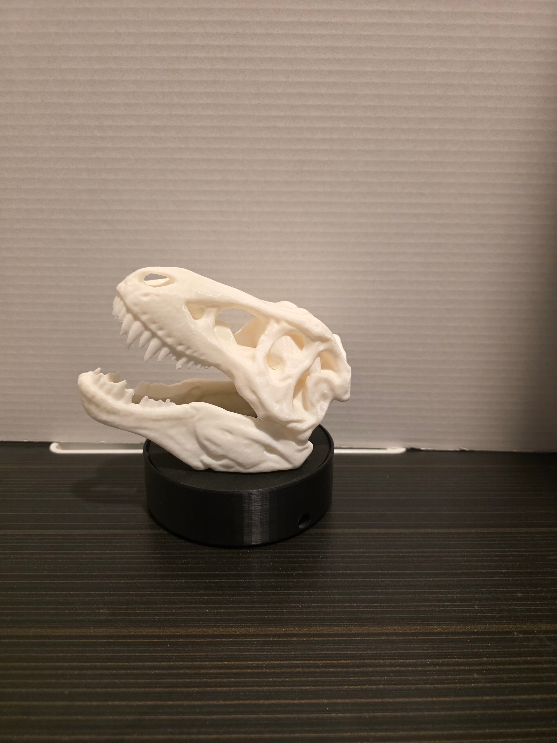 T-Rex Skull Replica