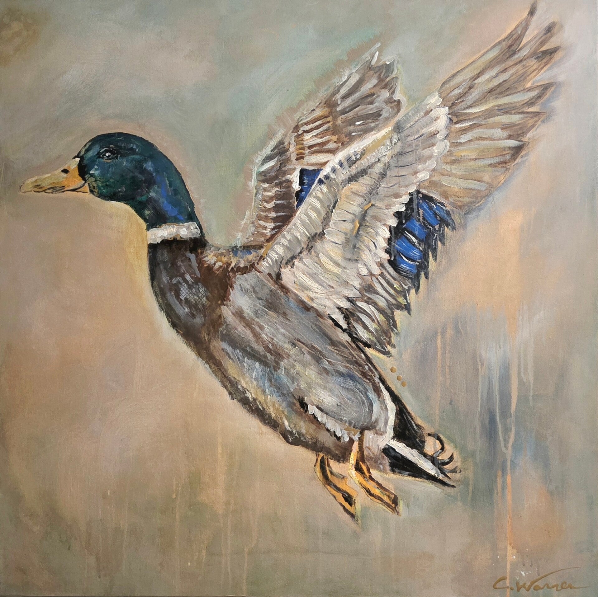 Greenhead Glide - 1 Available