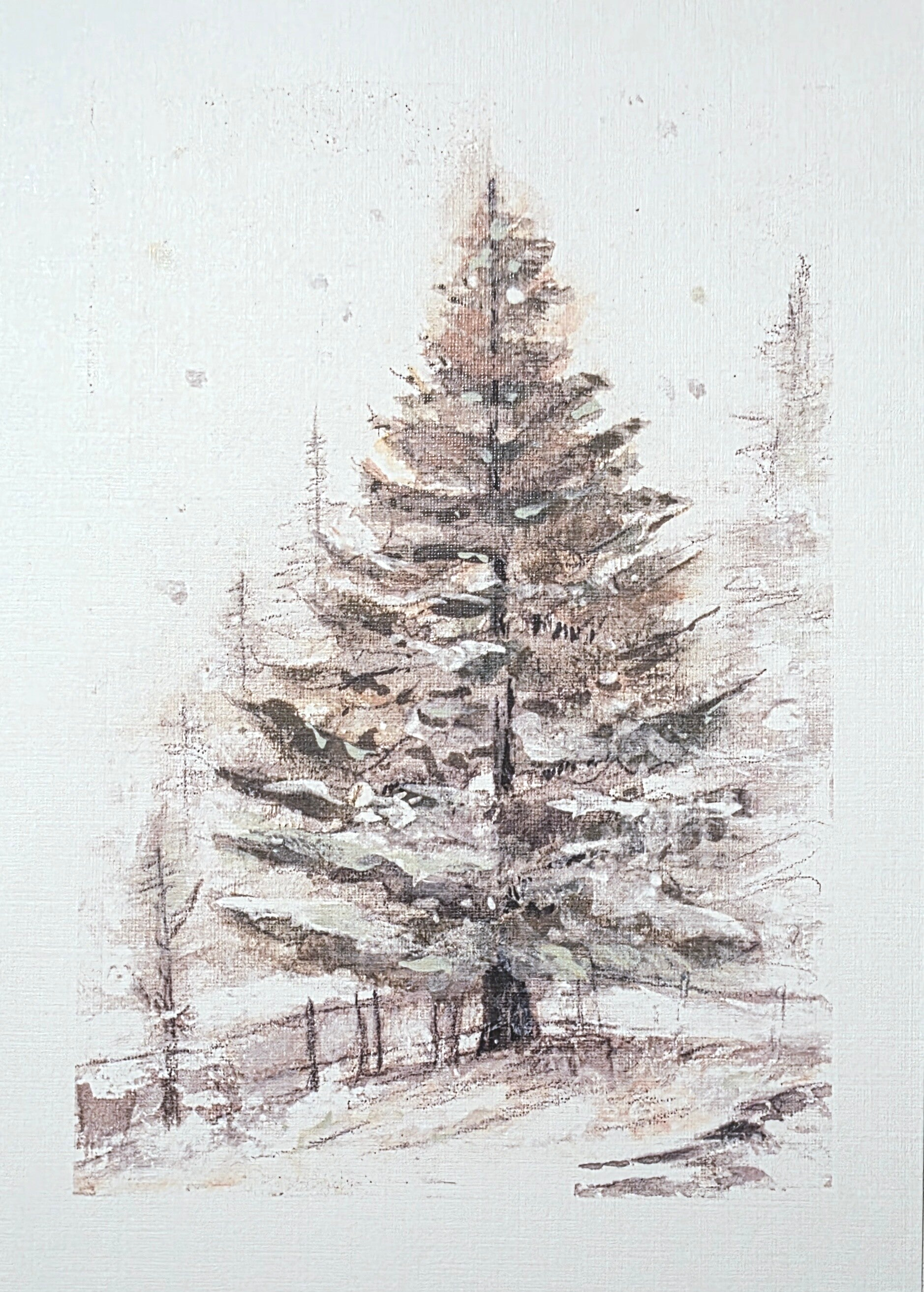 "Quiet Pine"