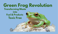 Green Frog Revolution