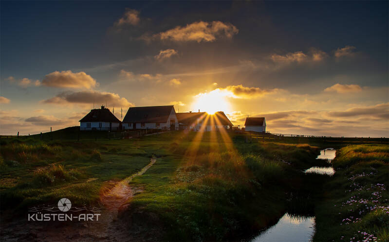 Hamburger Hallig