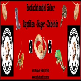 banner-4mx1m-jpeg-standard.jpg