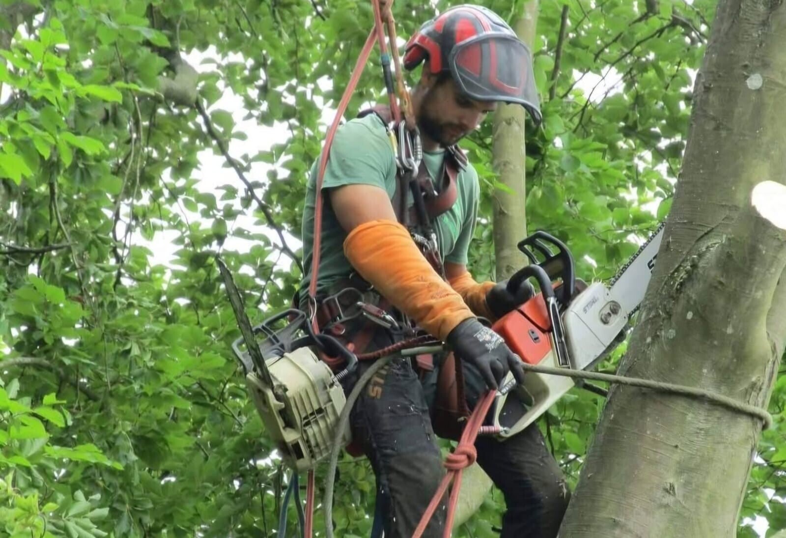 elagage grimpeur kevin bellay paysagiste oise amenagement exterieure securité