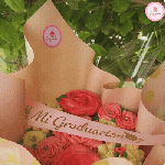 arreglos-23g.gif