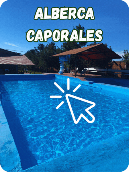 Alberca Caporales