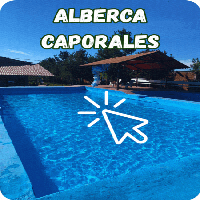 caporales-1.gif