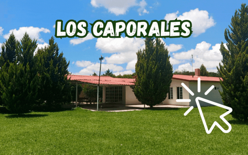 Caporales