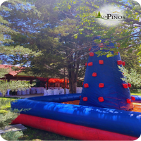 palapa-1-10-standard.png