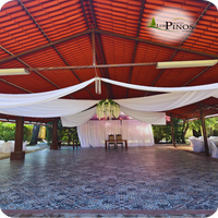 palapa-1-3-standard.png