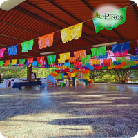 palapa-1-5-standard.png