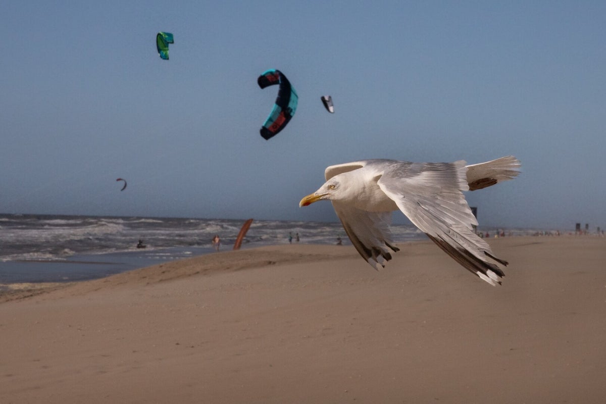 Blog - Wie niet waagt, die niet wint - eyemindpictures.nl