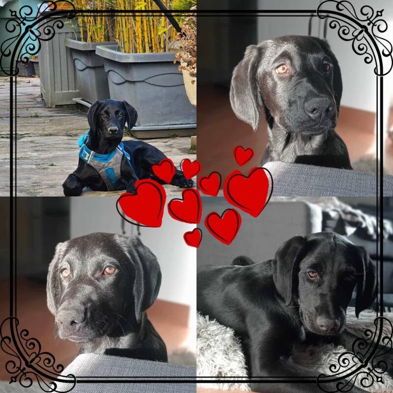 Bernadette le 17/03/2025