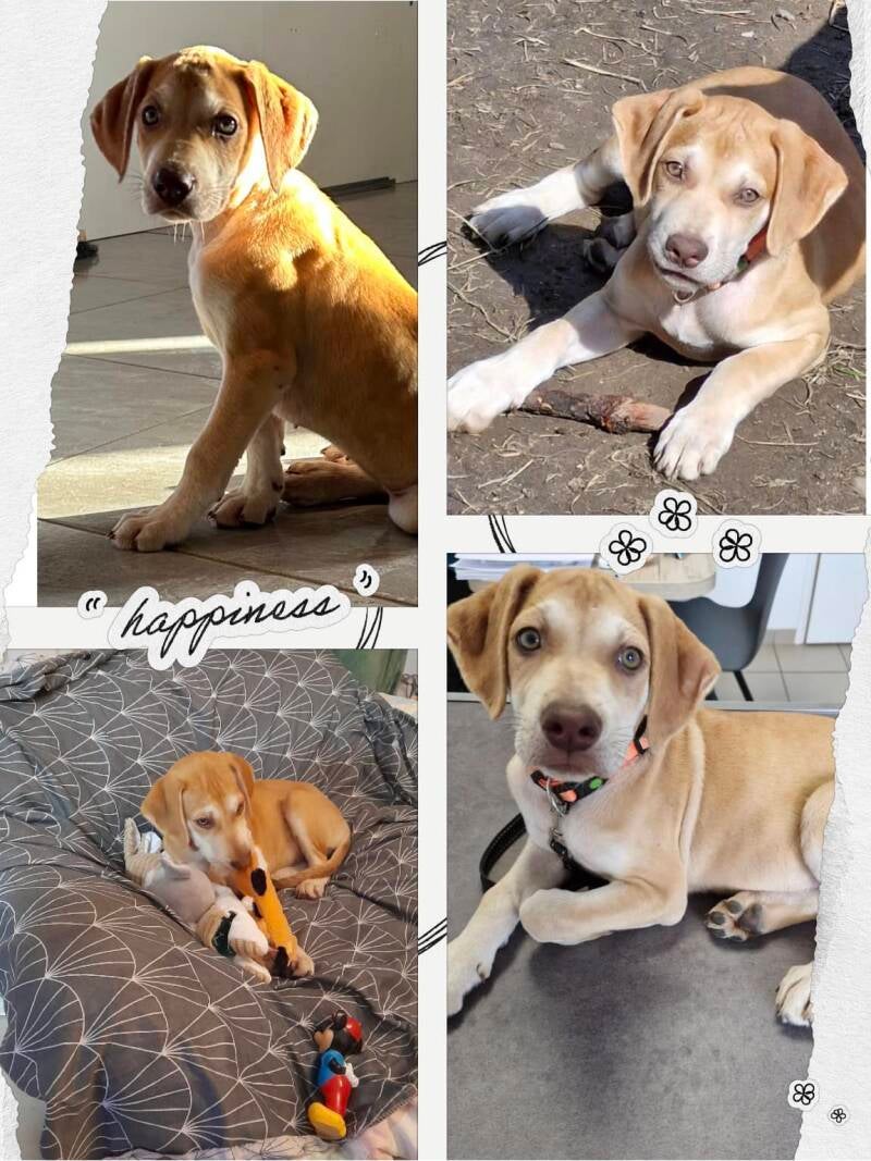 Vanille le 04/10/2024