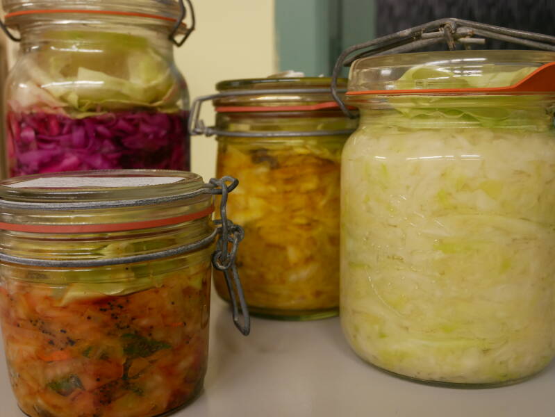 verschillende zuurkool variaties van gefermenteerde groenten