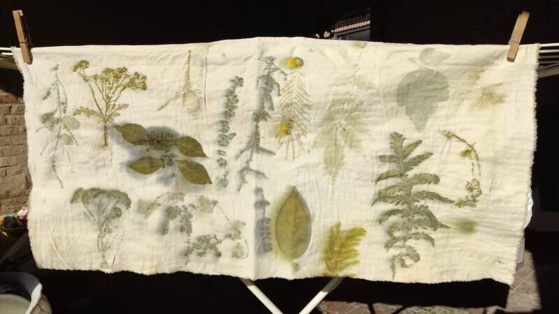 afbeelding van een ecoprint met bloemen en blaadjes uit de pluktuin 