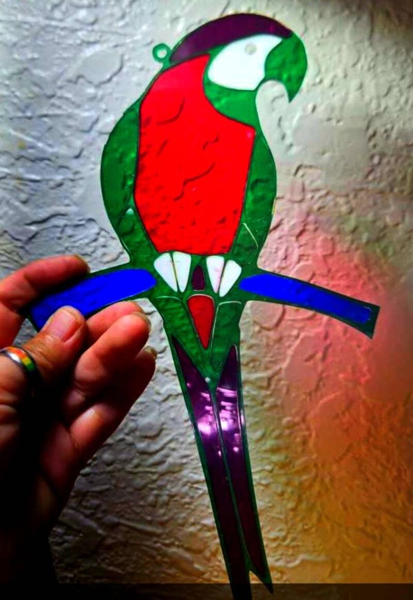 Parrot Sun Catcher