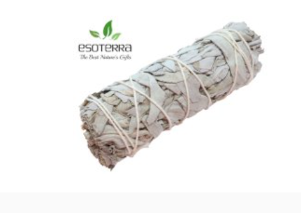 🌿 Fiche produit complète : Sauge Blanche Apiana – Fagot de purification 11 cm