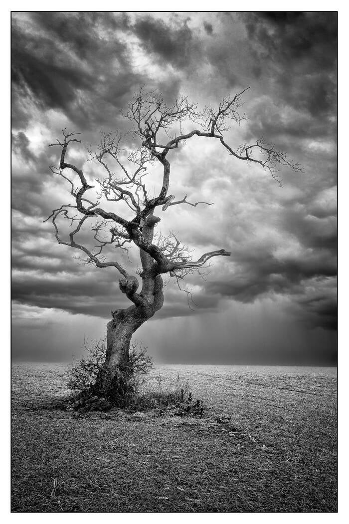 3-approaching-storm-standard.jpg