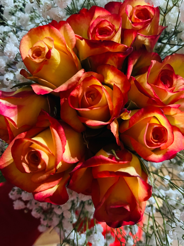 🌹 Vers Boeket Rozen – Luxe& Premium Uitstraling