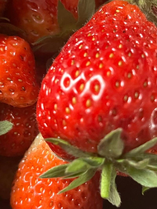 Aardbei plant hangende mandje