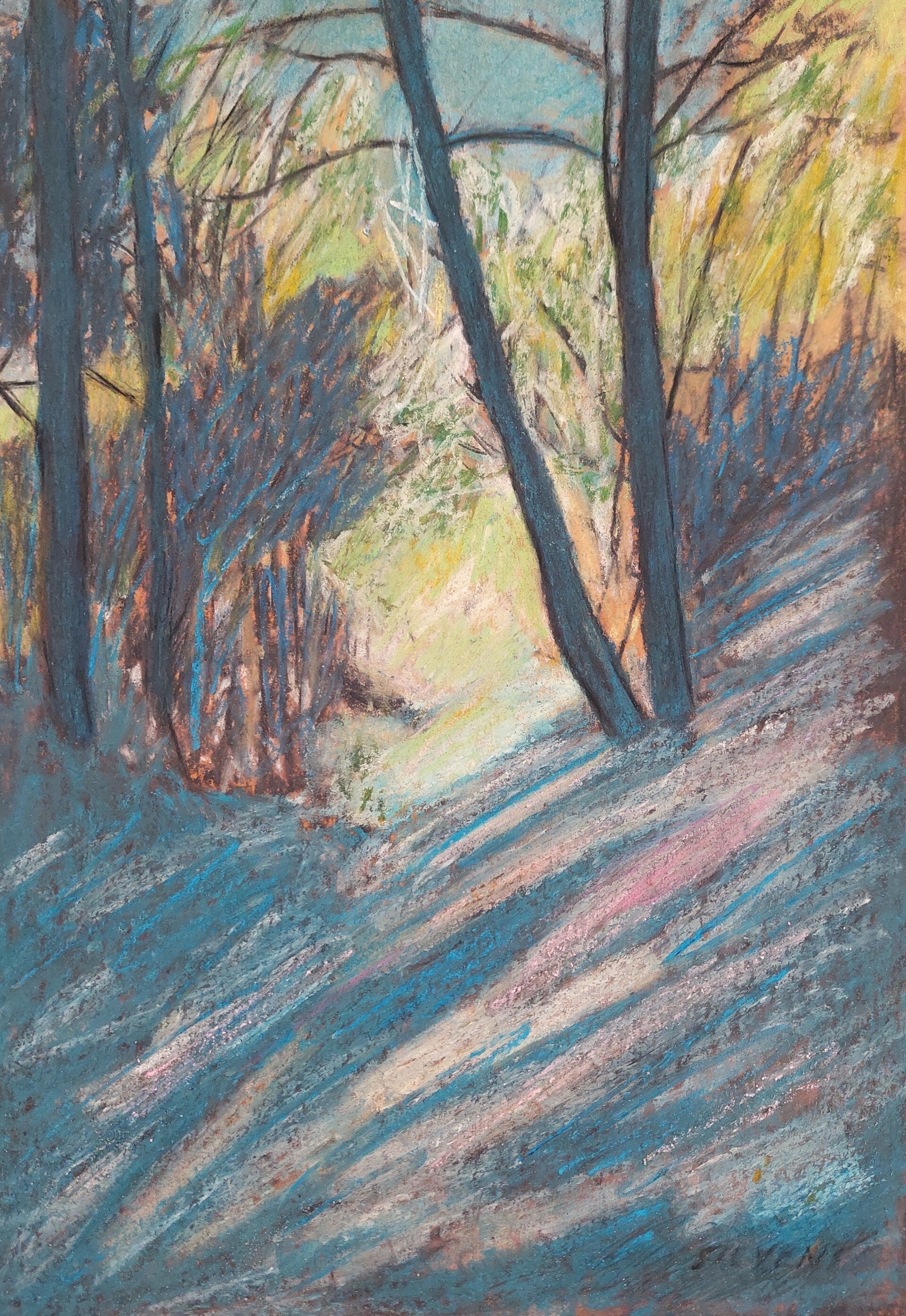 The Shade of the Trees
