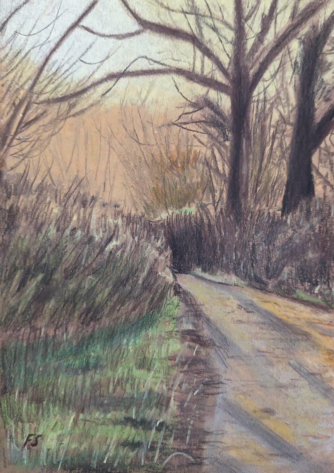 Road in Spring