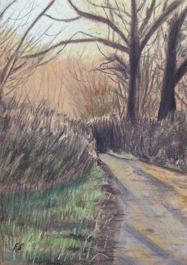 Road in Spring