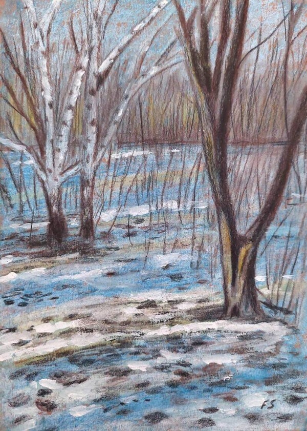 Trees in Winter
