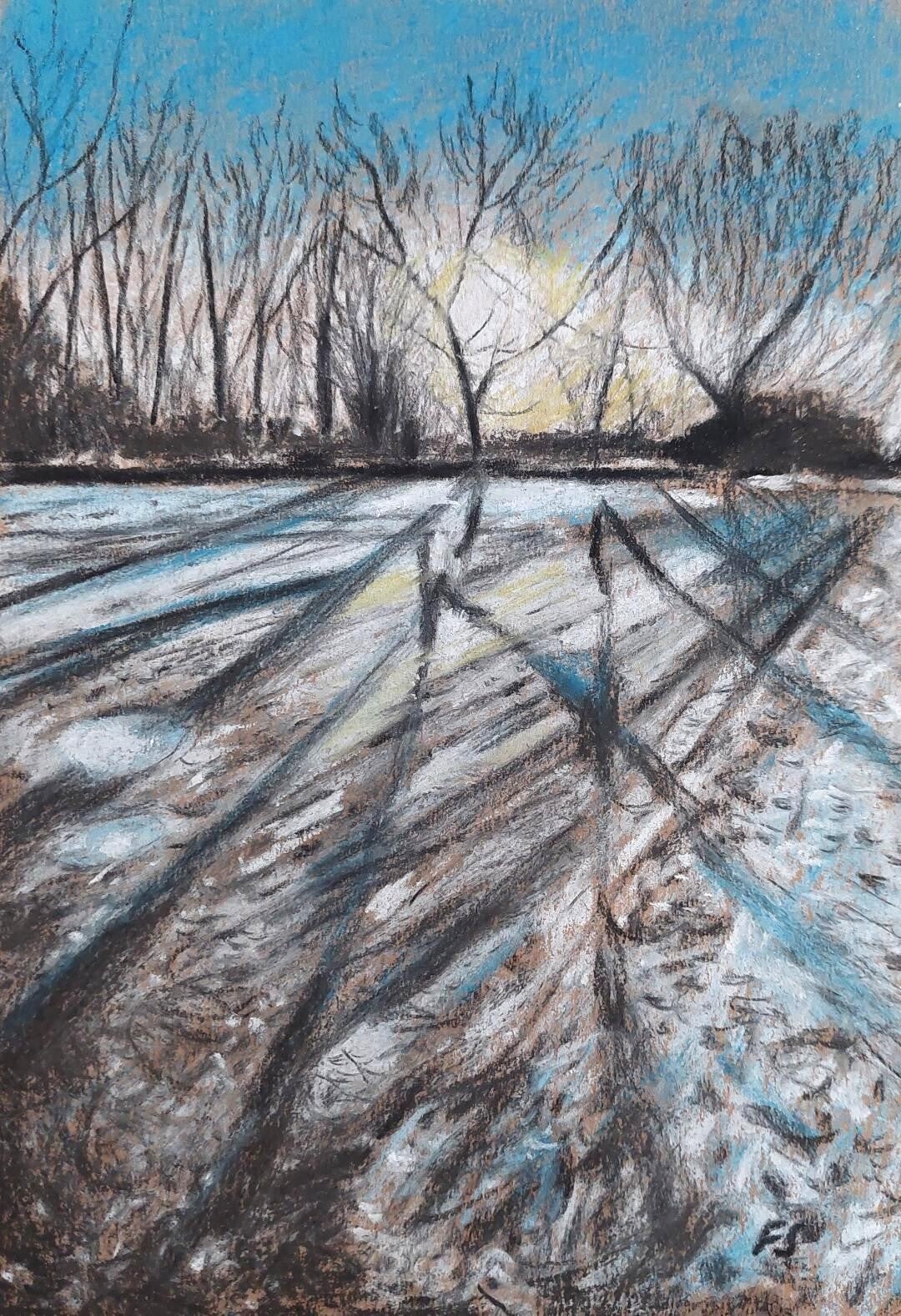 Winter Afternoon Shadows