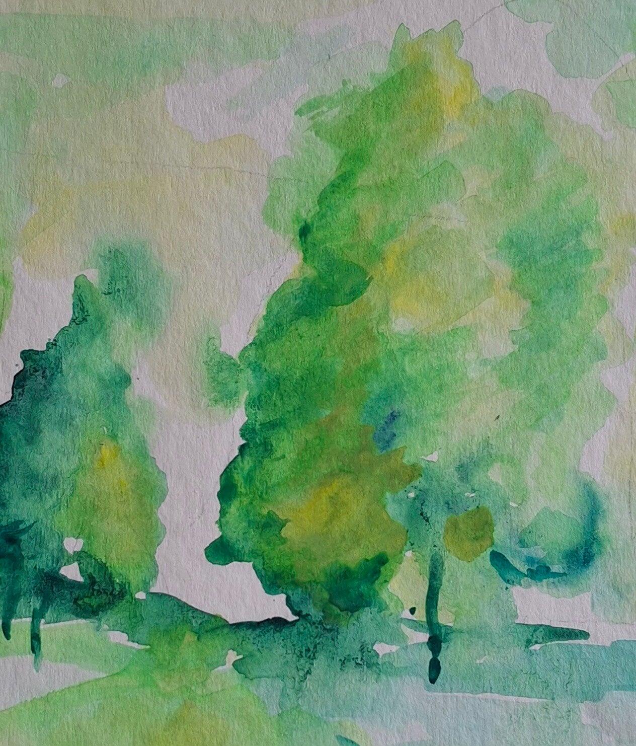 Nationalpark in Finnland: ein Baum