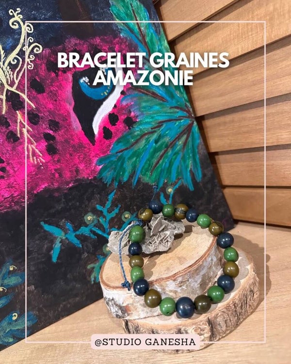 Bracelet graine d'Amazonie