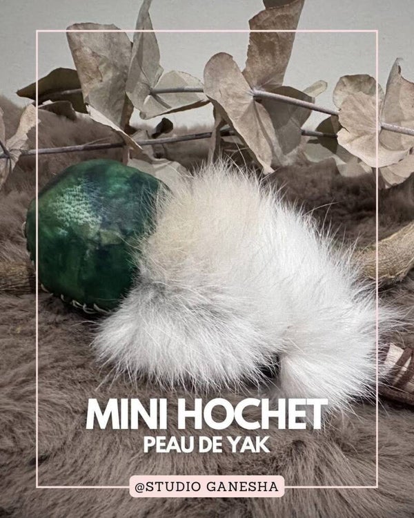 Mini Hochet