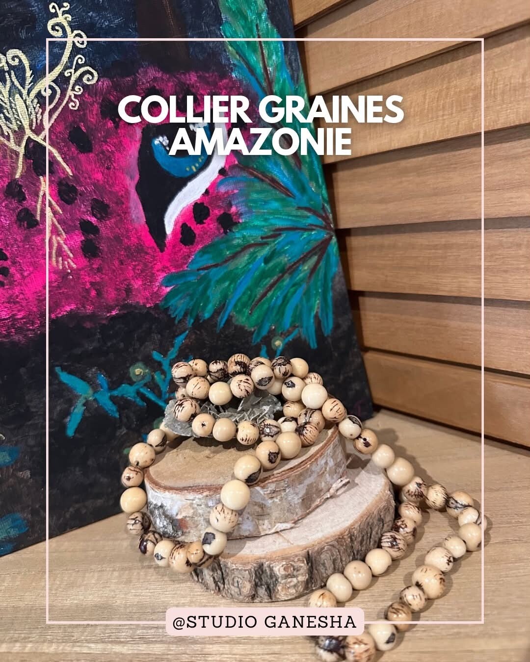 Collier graine d'Amazonie