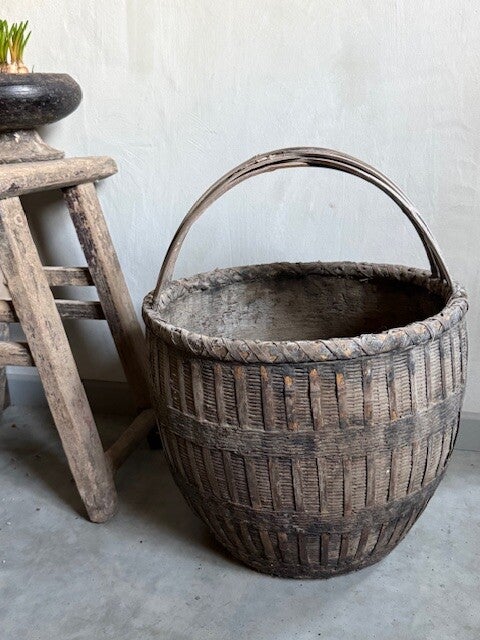 grote plukmand sleetse kleur