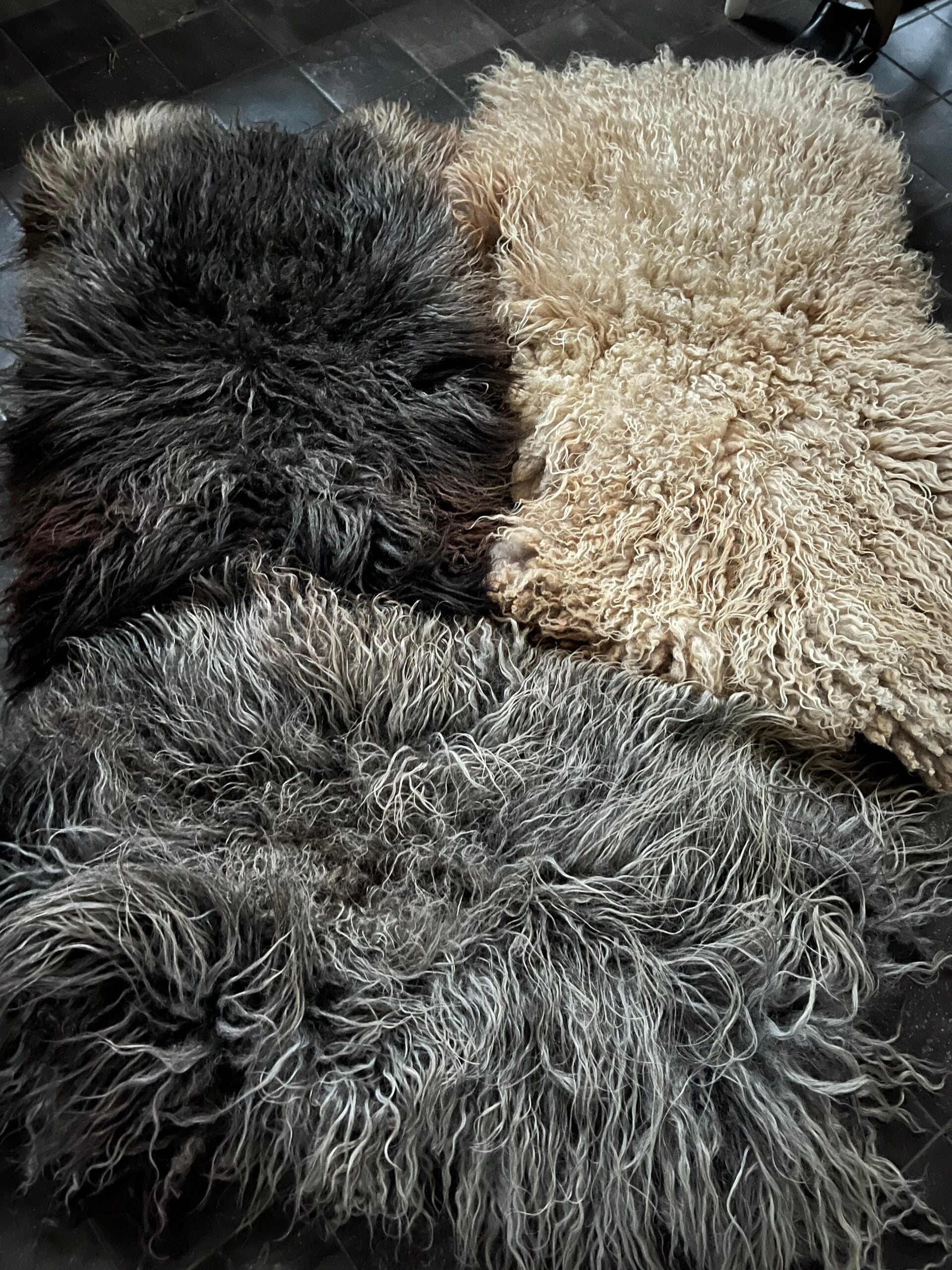 Workshop vachtvilten vanaf 2 pers.